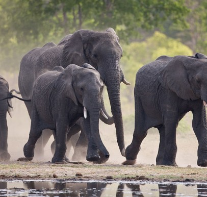 Hwange National Park