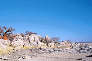 Makgadikgadi Pans National Park