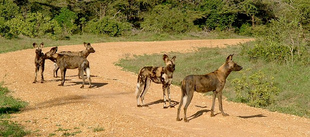 1489073594 Countryinfosliderimage