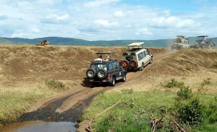 Best Time To Visit Tanzania