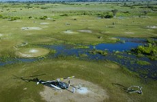 Delta Explorer – River Safari