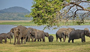 1520492098 safaritourImage