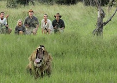 Botswana Northern Highlights