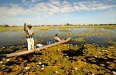 12-Day Northern Botswana & Caprivi Self-Drive