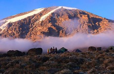 6-Day Machame Route Climbing Expedition