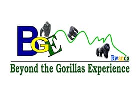 Beyond the Gorillas Experience