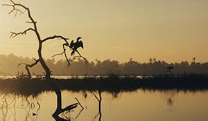 1539950680 safaritourImage