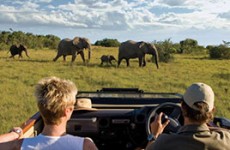 Cape Town & Malaria Free Eastern Cape Safari