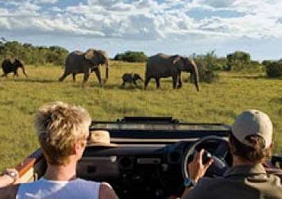 Cape Town & Malaria Free Eastern Cape Safari