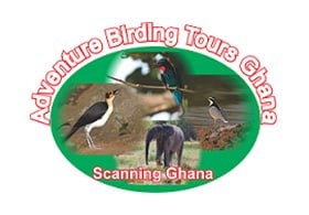 Adventure Birding Tours Ghana