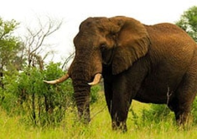 Best of South Africa