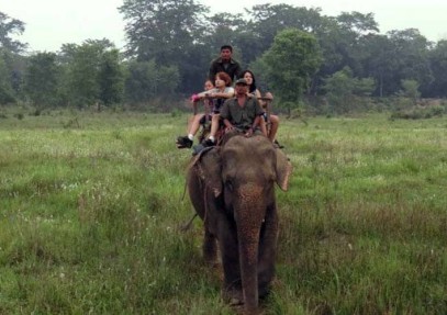 Wildlife Safari in Chitwan National Park