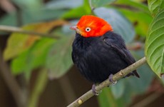 Guatemala Highlands & Mayan World