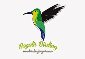 Bogota Birding Tours