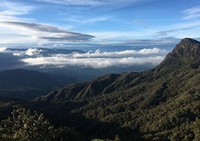 Chingaza National Park Safari