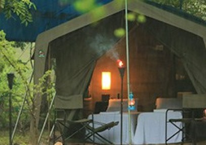 Big Game Safari Camp Wilpattu
