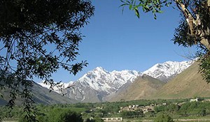 1562775408 safaritourImage