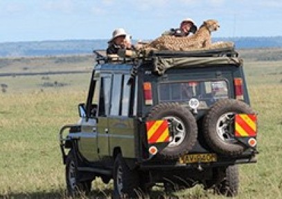 3-Day Masai Mara Wildlife Safari