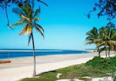 Guided Bush & Mozambique Dive Safari