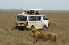 6-Day Masai Mara Nakuru National Park Experience