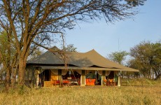 9-Day Tanzania Luxury Tented Camps Safari