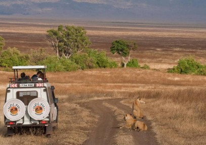 2 Day/1 Night Camping Safari