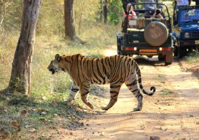 India’s Wild East