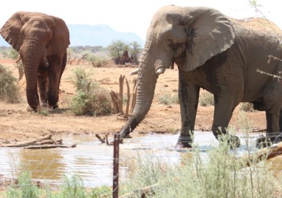 3-Day Etosha Tour
