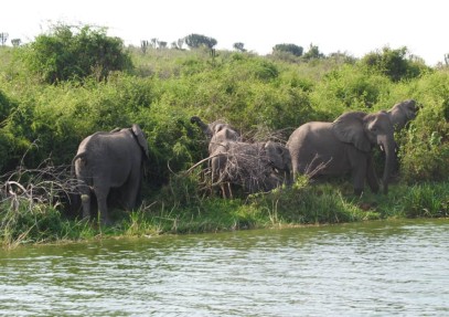 3-Day Queen Elizabeth National Park Safari