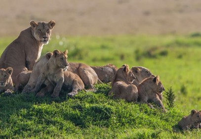 Tanzania Lifetime Adventure