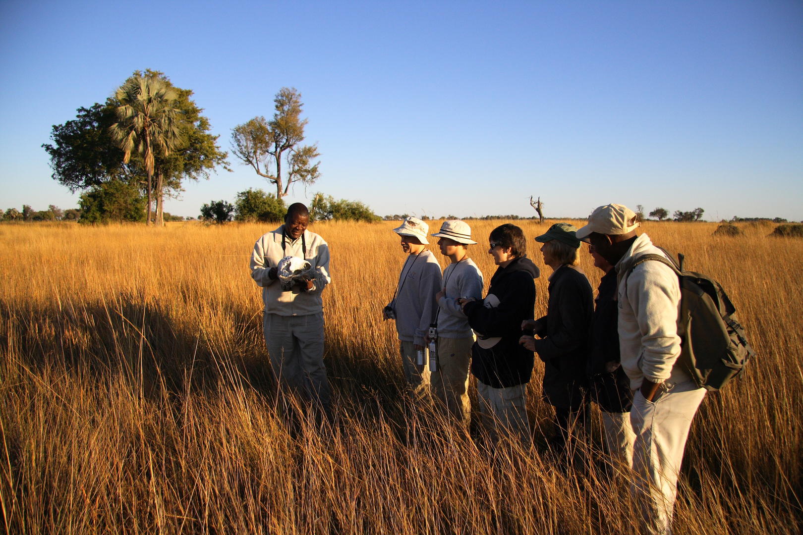 Guided Bush Walks Are Conducted On A Number Of The Nearby Islands
