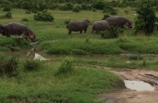 7-Day Kenyan Budget Safari