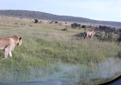 Nakuru, Naivasha, Masai Mara Safari
