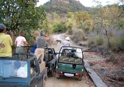 Lure of Indian Wilderness