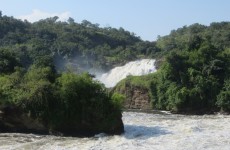 3-Day Murchison Falls National Park Safari