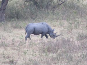 Ngaiza Adventures
