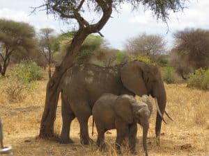 Ngaiza Adventures (5)