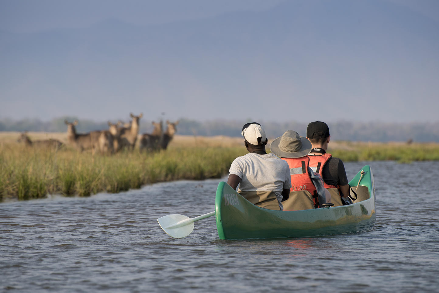 Zambezi Expeditions 5