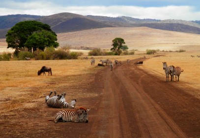 Majestic Tanzania