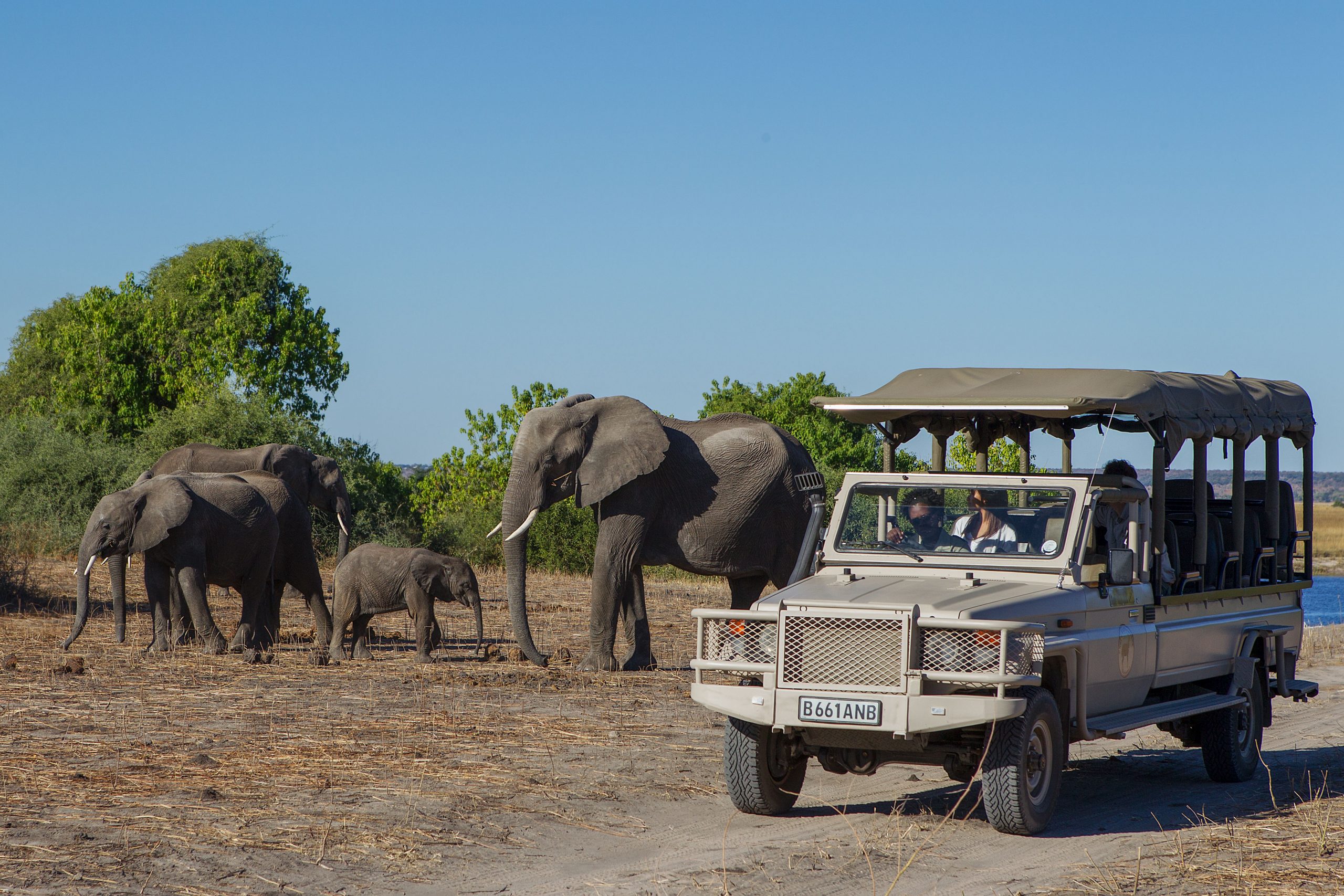 Chobe Game Lodge Game Drive