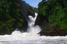 Spectacular Murchison Falls Safari