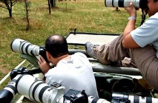 11-Days Tanzania Photographic Safari