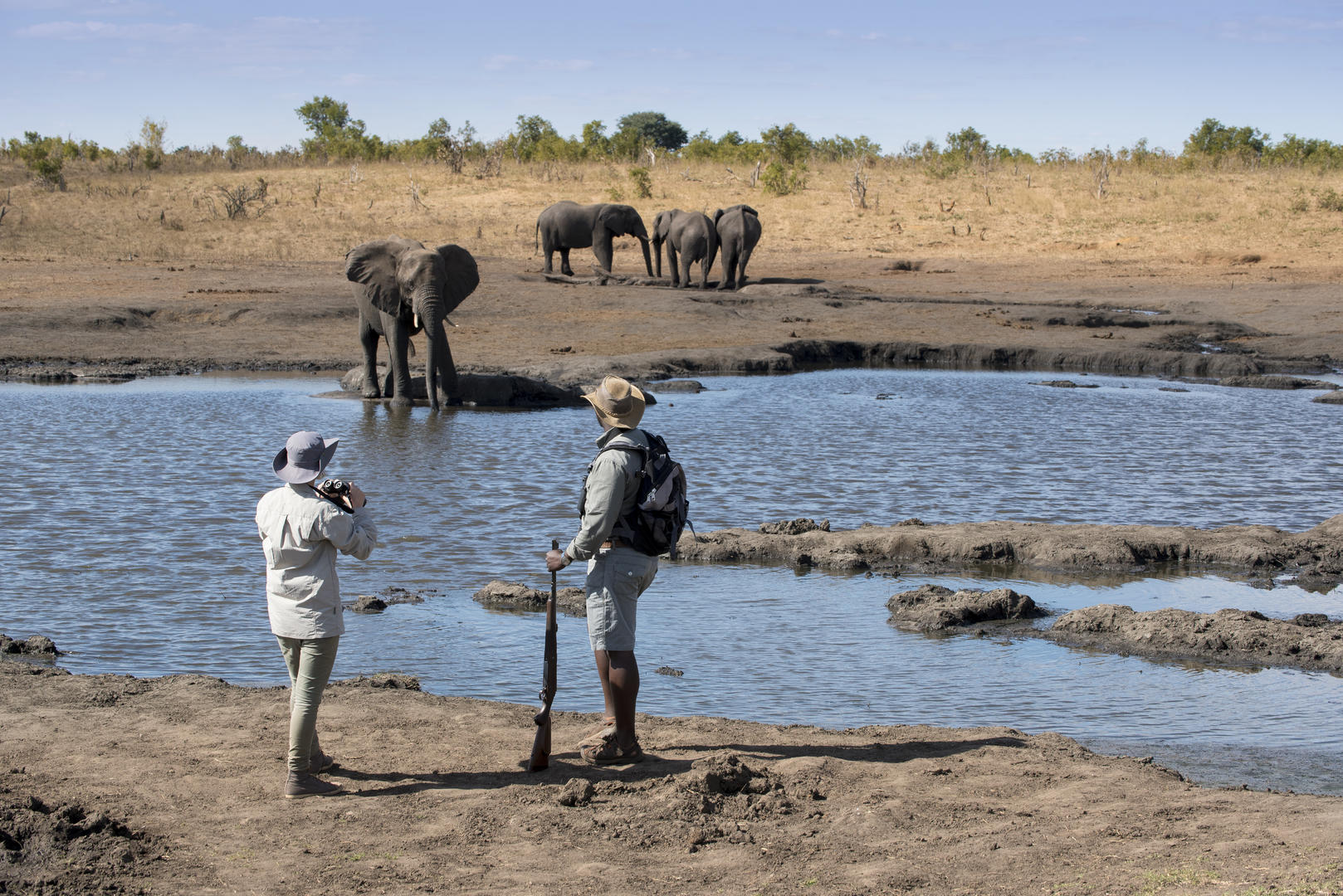 Somalisa Expeditions Hwange National Park Zimbabwe Walking Safari With Elephants 14