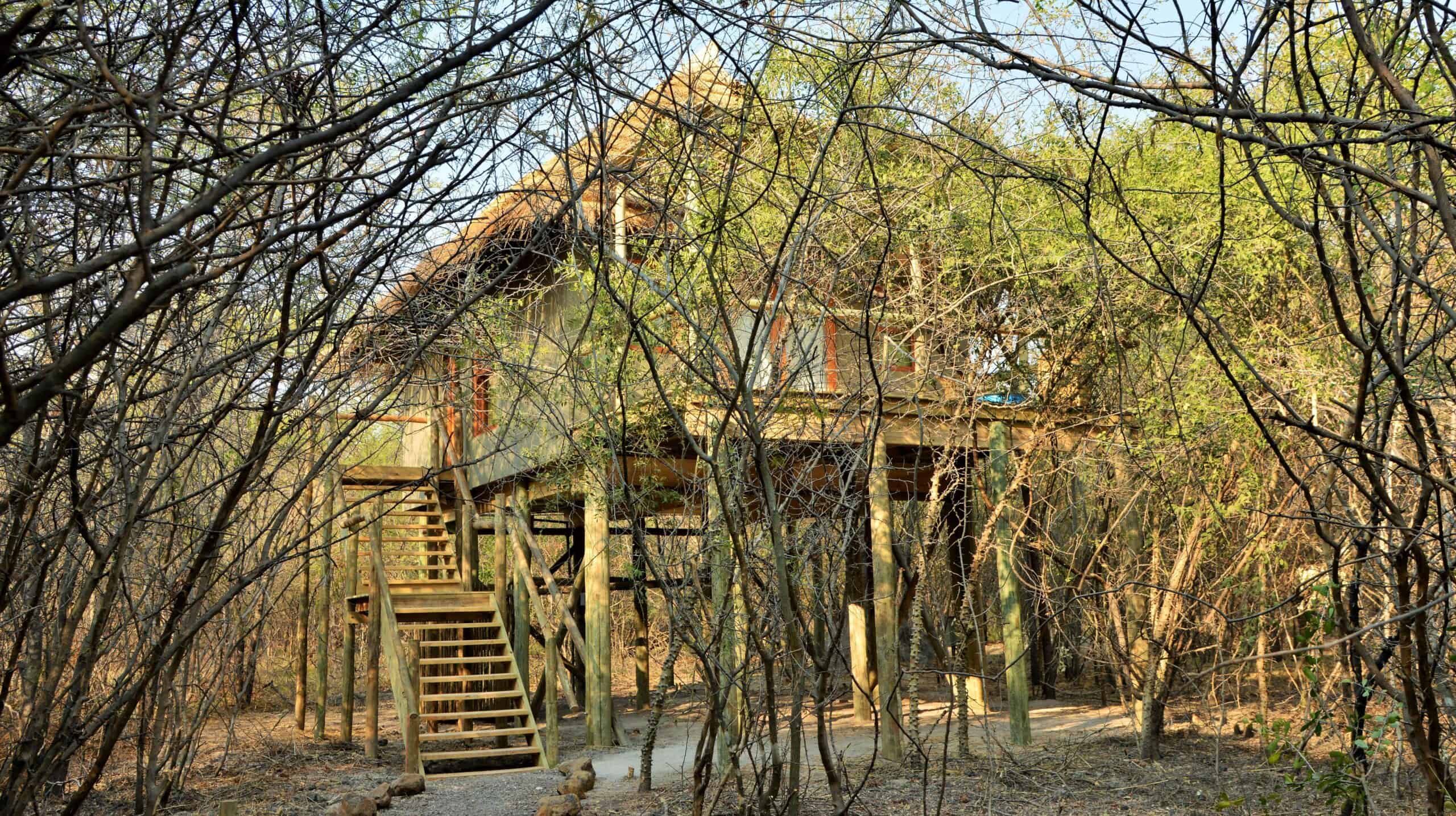 View Of Chalet From The Path.