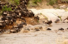 3-Day Masai Mara Safari