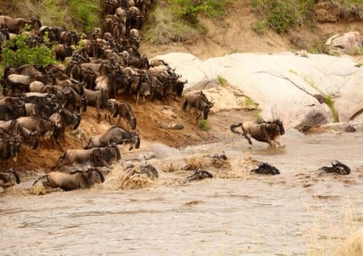 3-Day Masai Mara Safari
