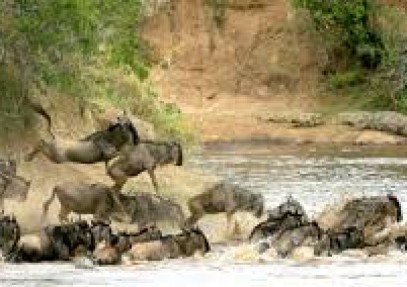3-Day Maasai Mara Camping Safari