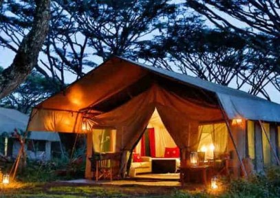 6 Days Serengeti Tented Camp Safari