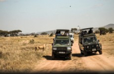 6 Days Luxury Safari in Tanzania