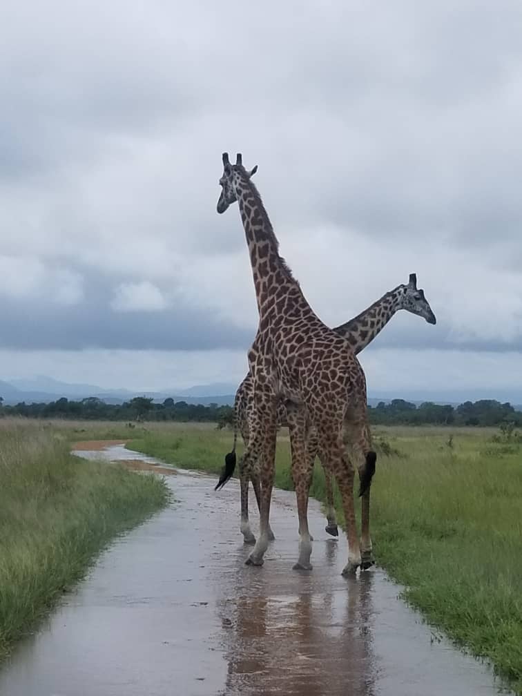 Ngaiza Adventures (26)